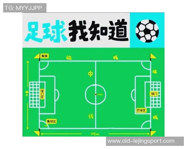 深入解析足球运动的各个环节与技巧提升方法探讨